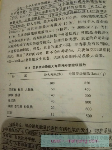某中场运动寿命管理，科学轮换延长巅峰状态